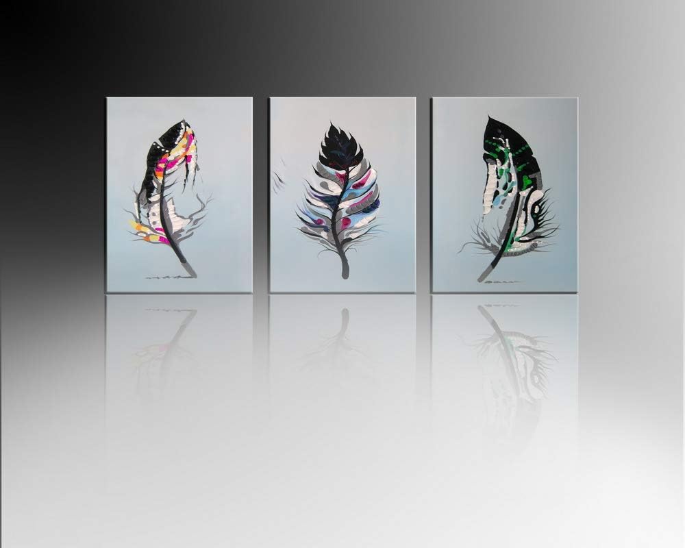 Amazon Com 3 Panels Feather Canvas Print Bird Feather Wall Art Picture Abstract Oil Painting Framed Ready To Hang Posters Prints