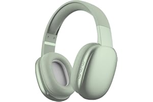 Gabba Goods Wireless Over Ear Bluetooth Headphones with Microphone - Wireless Headset -Noise Reduction - Bluetooth, Wired,Built in Micro SD for Travel, Home, Work TV,PC,Gaming,Cellphone (Mint)