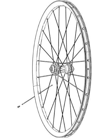 raggi per ruote bici