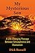 My Mysterious Son: A Life-Changing Passage Between Schizophrenia and Shamanism