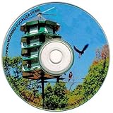 Nature House Purple Martin Morning Vocalization CD