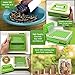 DAILY DELUX English Version #0 Capsule Holder with Tamper (Free Pill Box & Screwdriver), 100 Holes Tray for Size 0 Capsules, Filling Tools (Green #0)