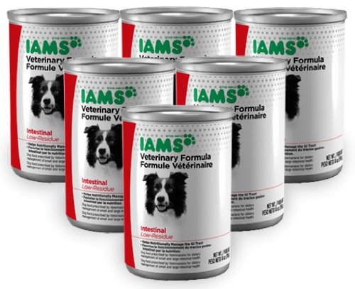 iams intestinal plus