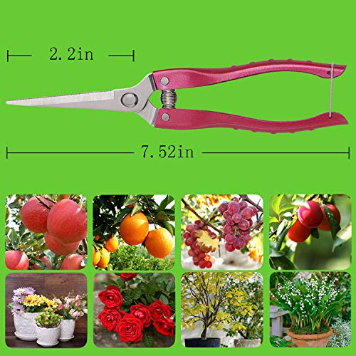 Pruning Shears Straight Tip Pruning Trimming Scissors Florist Scissors-Stainless Steel Ultra Sharp Multi-Purpose Hand Pruner Scissors for Garden Harvesting Fruits Vegetables, Trimming Flowers, Pink