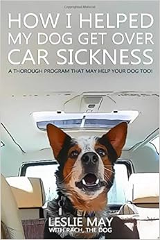 what can i give my dog for car sickness