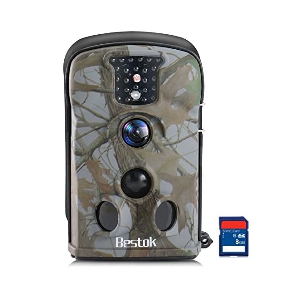 Bestok Wildkamera Fotofalle Full HD 12MP Jagdkamera Wasserdichte Gartenkamera mit Bewegungsmelder Vision Infrarote 20m…