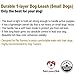 Dog Leash for Medium, Large and Small Dogs - 6 Foot Dog Leashes for Training and Daily Walks - Durable Sizes in Lightweight and Heavy Duty for Small and Large Breeds (1-Layer, Blue)