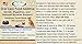 Mad About Organics All Natural Dog & Cat Oral Care Dental Plaque Remover Starter Kit