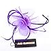 Fascinator Hat with Headband for Women Lady Deep Purple