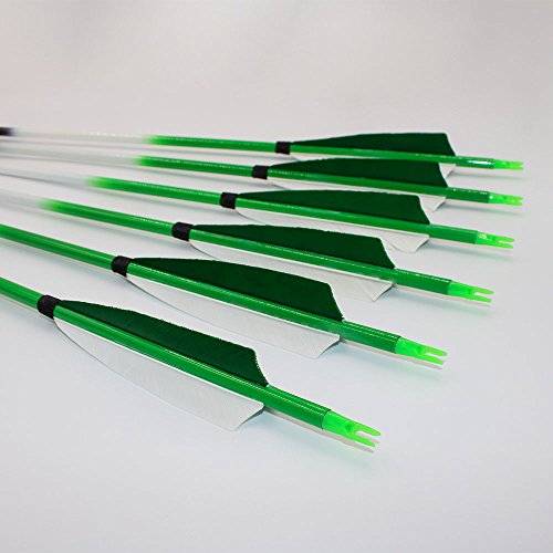 Archery sharly 31" Carbon Practice Targeting Arrows,5" Natural Feather Arrows with Screw-in Tips for Recurve Traditional and Long Bow(12 Pack)