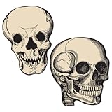 Beistle 5-Inch Skull Cutouts for Halloween, Mini