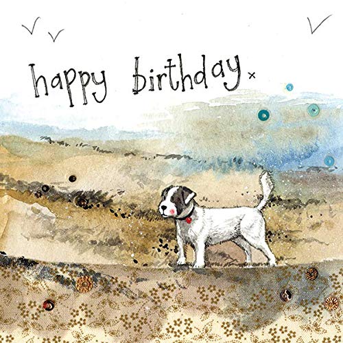 ALEX CLARK Happy Birthday Beach Boy Card