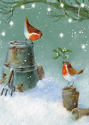 Christmas Card (MED2213) Special Couple - Robins and Mistletoe On Bucket