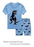 Babypajama Little Boys' Shark Pajama Set 2 Piece T-Shirt & Pants Size 5 Years