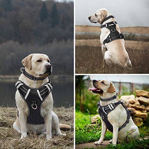 2 WINSEE+Attachments+Reflective+Adjustable+Material
