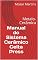 Livro Manual do Sistema Cerâmico Celta Press: Metalo-Cerâmica