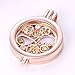 Adecco LLC Aromatherapy Essential Oil Diffuser Necklace, Fragrance Locket Pendant, Rose Gold 24