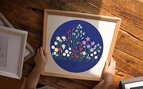 image for Louise Maelys 3 Pack Embroidery Kit for Beginner Stamped Pattern Cross