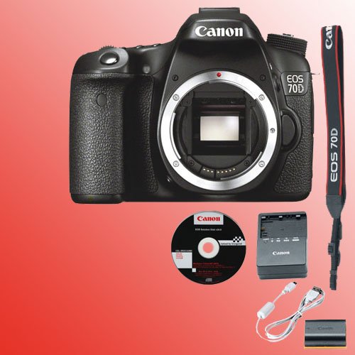 What Camera Do Famous Youtubers Use To Vlog? (solved)