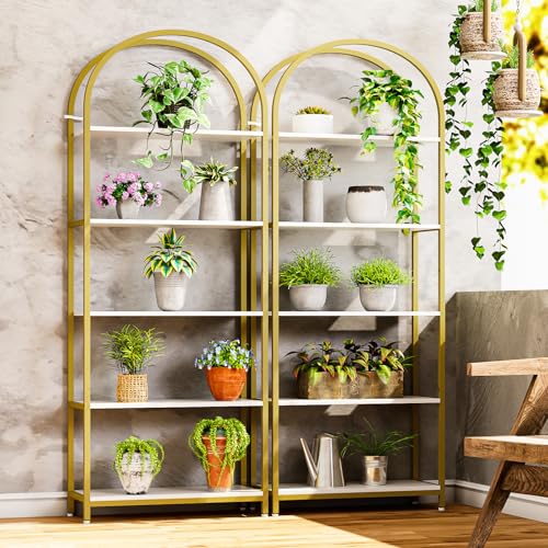 Simple Wisdom Librería, estantería Moderna con Arco Abierto, librero Minimalista de 5 Niveles de 180 cm, estantería Simple Adecuada para Dormitorio, Sala de Estar, Oficina (Blanco Dorado)
