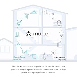 Kasa Matter Smart Light Switch: Voice Control