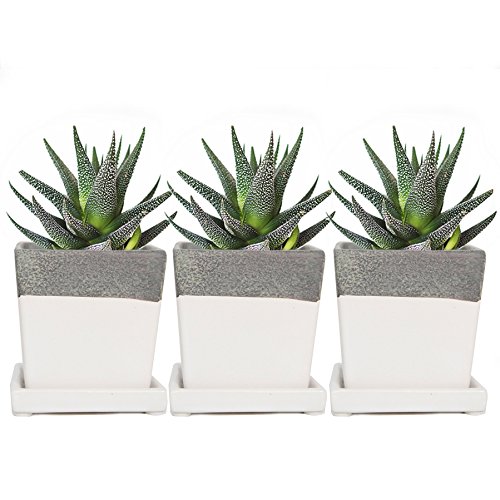 Chive ‘Duo’ Ceramic Plant Pots — Cute, Beautiful Pots for Flowers & House Plants Indoor & Outdoor — Set of 3 — White
