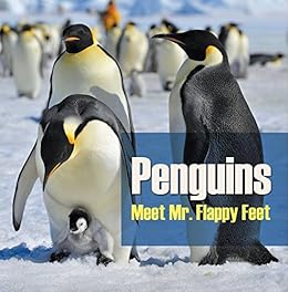 Penguins Meet Mr Flappy Feet Penguin Books For Kids