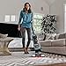 Shark APEX DuoClean Powered Lift-Away Vacuum, AX952 (Renewed)