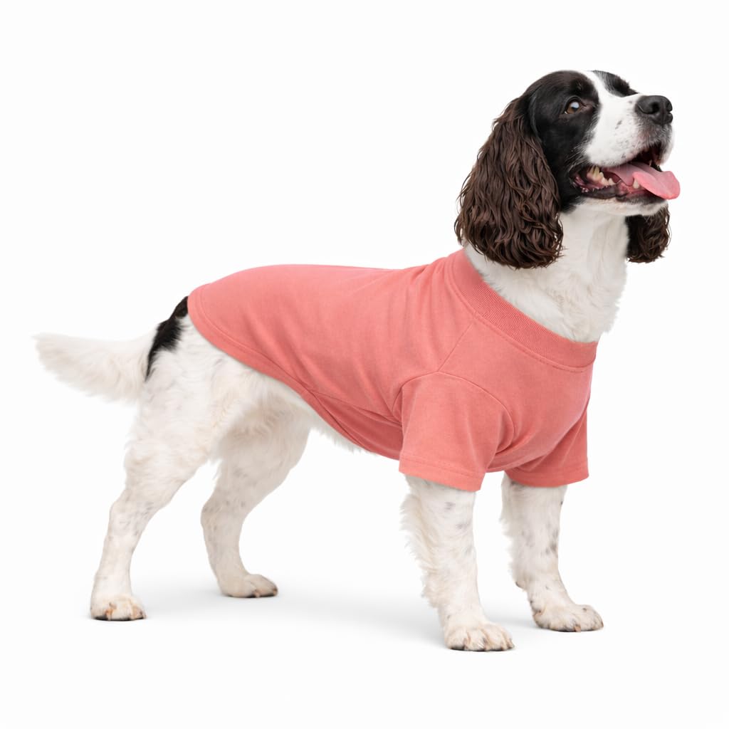 Lovelonglong Pet Clothing Dog Costumes Basic Blank T-Shirt Tee Shirts for Medium Dogs Lotus Pink XXL
