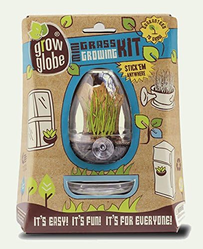 Grow Globe Mini Terrarium Grow Kit Stick Them Anywhere-Grass