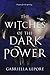 The Witches of the Dark Power (Witches of the Glass Castle Book 2)