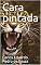 Livro Cara pintada