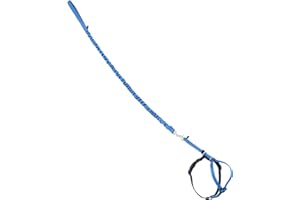 PetSafe Come with Me Kitty Cat Harness & Bungee Leash - Comfortable No-Choke Harness with Lightweight Bungee Leash for Outdoor Fun - Escape Free Pulling Prevention - Medium - Royal Blue
