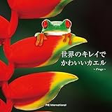 世界のキレイでかわいいカエル