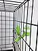 Choco Nose Patented No-Drip Dog Water Bottle/Feeder for Dogs/Cats and Other Small-Medium Sized Animals - for Cages, Crates or Wall Mount. 11.2 Oz. Mess Free Leak-Proof Nozzle 16mm, Apple Green (H590)