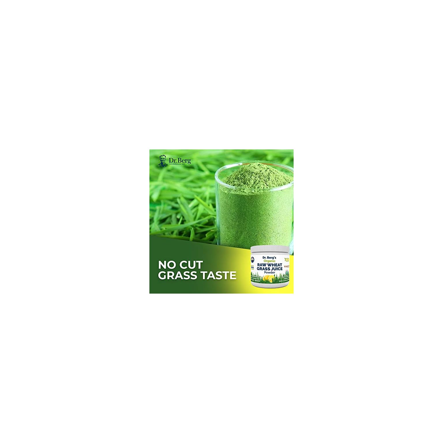 Dr. Berg’s Raw Wheatgrass Juice Powder (60 Servings) USDA Certified