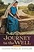 Journey to the Well: A Novel by Diana Taylor