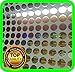 Holomarks 2100 Security Hologram Labels, Void Warranty Stickers Tamper evident Seals Round .23 inch