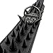Berry Pet Sharp Spiked Studded Dog Collar - Stylish Leather Dog Collars - 2 Inch in Width Fit for Medium & Large Dogs - Such as Pitbull Mastiff - Black Rivets & Black Leather,21-24