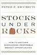 Stocks Under Rocks: How to Uncover Overlooked, Profitable Market Opportunities