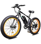 Powerful Fat Tire Electric Bicycle 