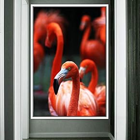 signwin Framed Canvas Wall Art Single Bird Birds...