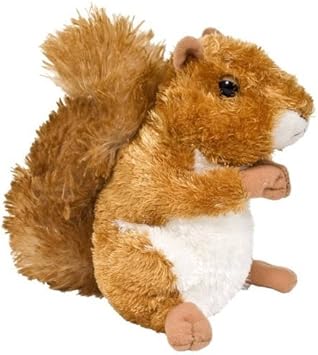 red squirrel teddy