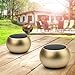 Wireless Bluetooth Speakers Micro Premium Set Of 2 With TWS – True Wireless Stereo Technology, Sleek, Portable & Compact Sound System For Android & iOS, Aluminum Body, Crystal Clear & Loud Audio