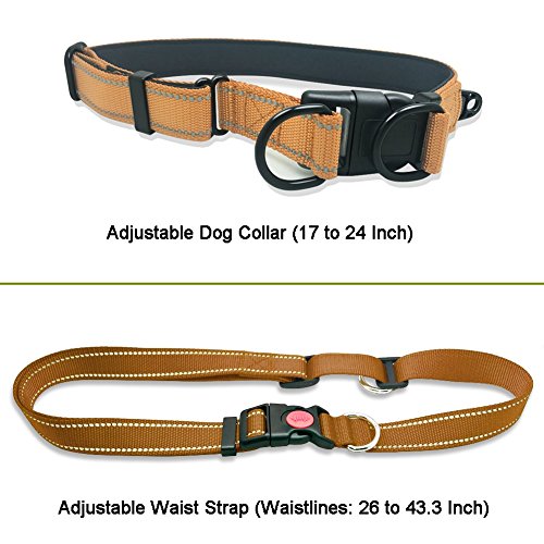 image for Neeyer Hands Free Dog Leash, Running Dog Leash with Bungee, Reflective