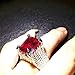 FEDULK Womens Dazzling Natural Ruby Diamond Engagement Antique Ladies Gifts Light Luxury Rings(Silver, 8)