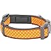 Blueberry Pet 13 Patterns Soft & Comfy Urban Chic Diamond Pattern Neoprene Padded Dog Collar, Yellow, Medium, Neck 14.5