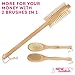Bath Brush With Double Sided Head & FREE Hanging Hook. A Body Brush is Perfect for Exfoliating and Dry Brushing. Our Long Handled Back Brush Is The Best Shower Brush/Back Scrubber For Men And Women!