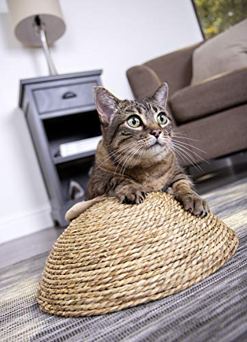 dome cat scratcher