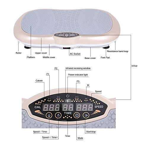 Power Plate Vibration Power Plate Vibration